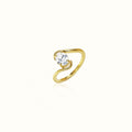 The hierloom ring