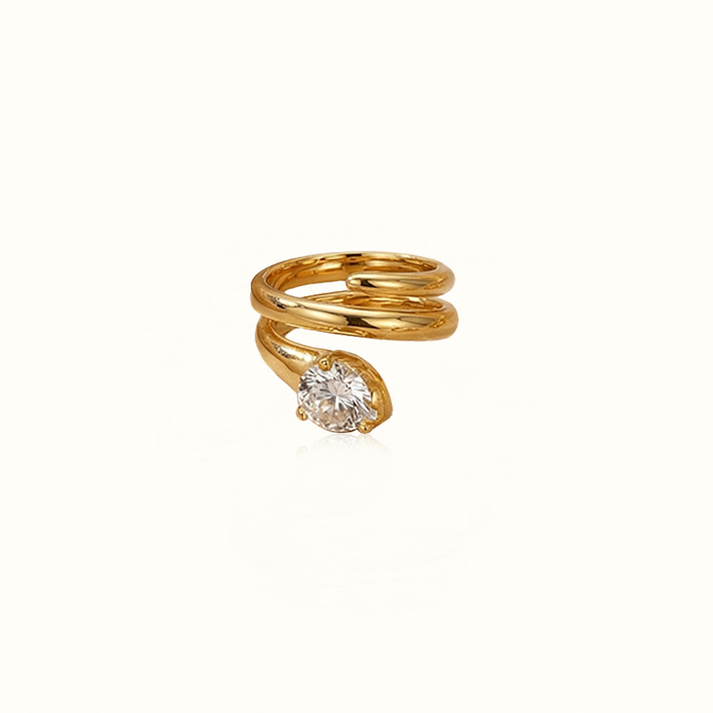 The fearless Chapter ring